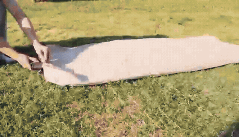 F120260227184610.gif